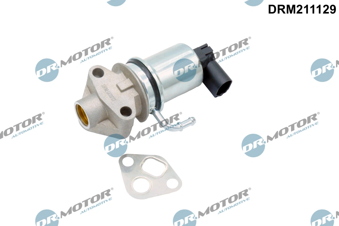 EGR Valve